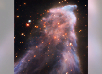 Unexpected Nebula Picture from Outer Space